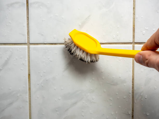 Best Toxic Mold Removal  in Sabina, OH