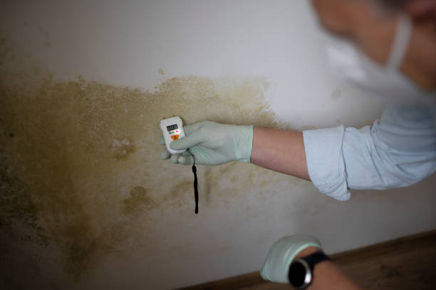 Water Damage Restoration in Sabina, OH