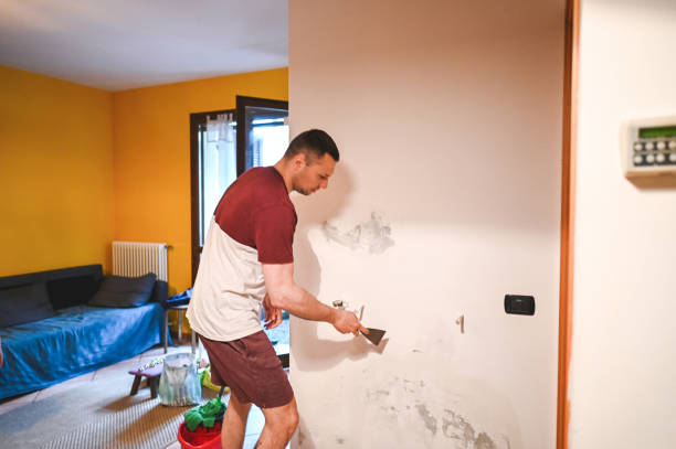 Mold Removal and Inspection in Sabina, OH